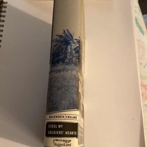 STEEL MY SOLDIERS’ HEARTS by COLONEL DAVID HACKWORTH VIETNAM - Picture 2 of 3